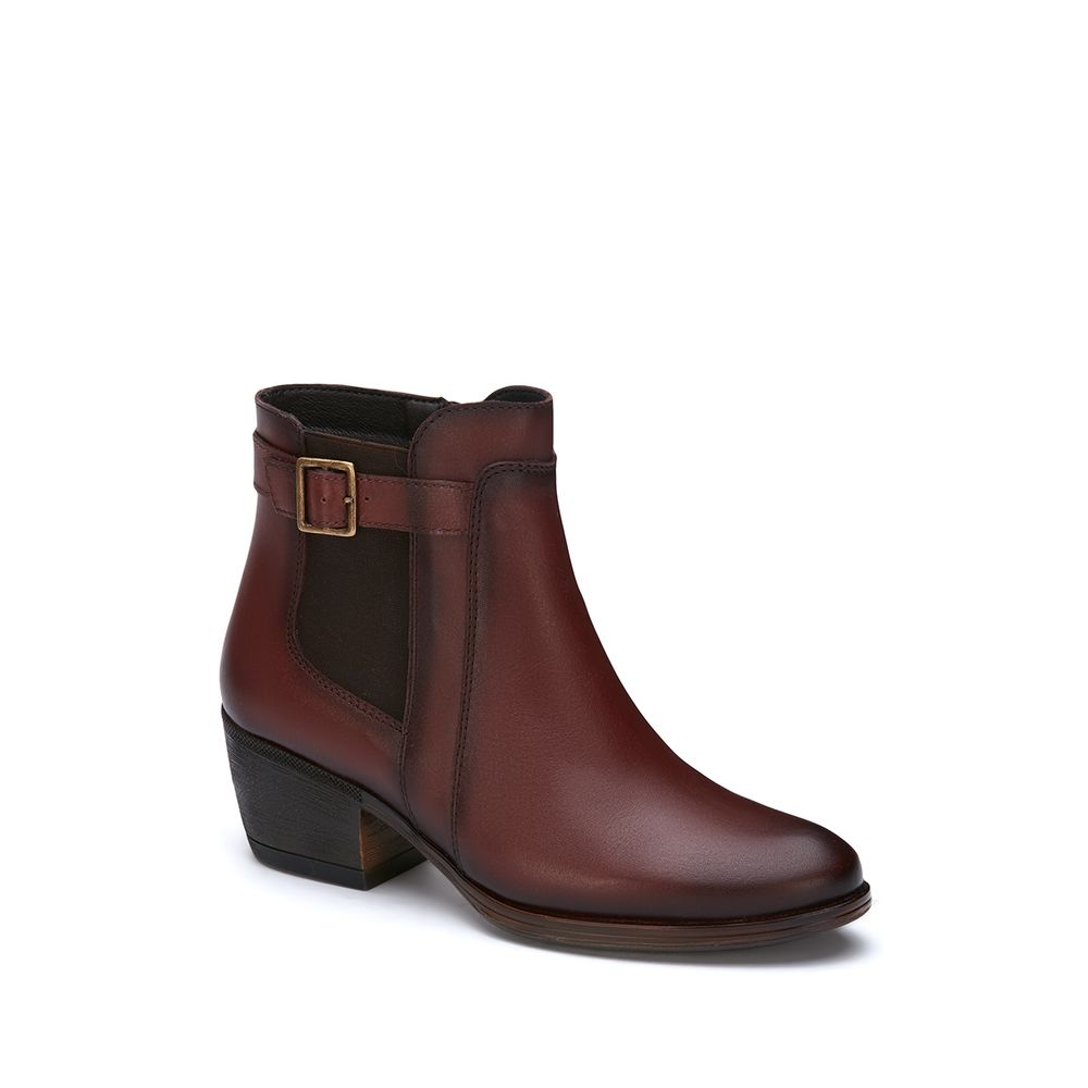 BOTIN VINO 2952406 - Andrea